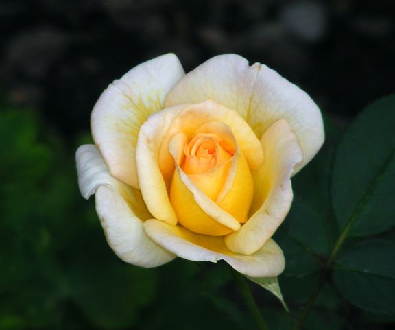 Yantai photo yan2013_08210002_zps5b0018c2.jpg